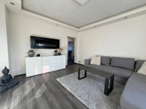 Modernes zentrales Appartement